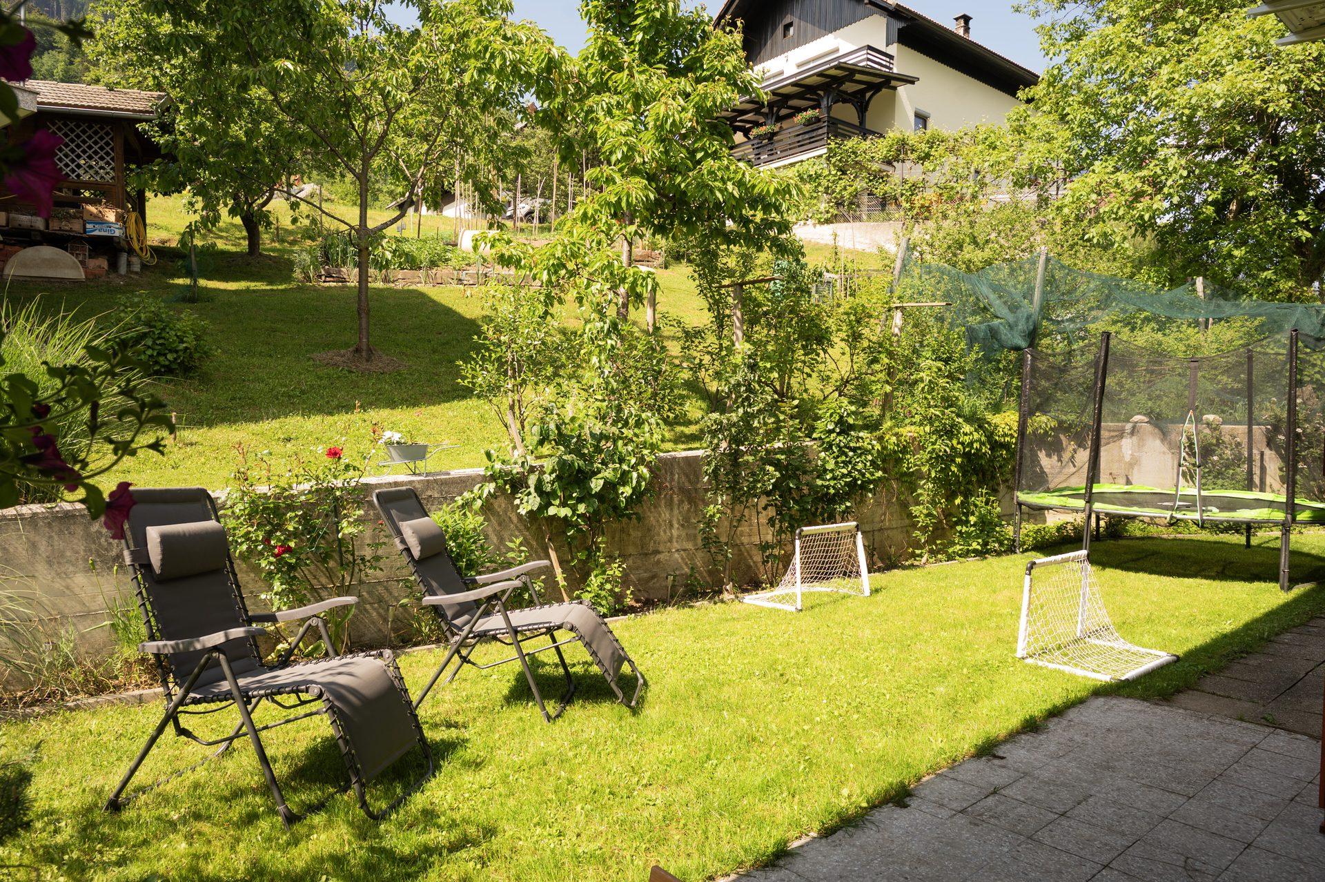 Dvorišče in travnik / Courtyard and lawn