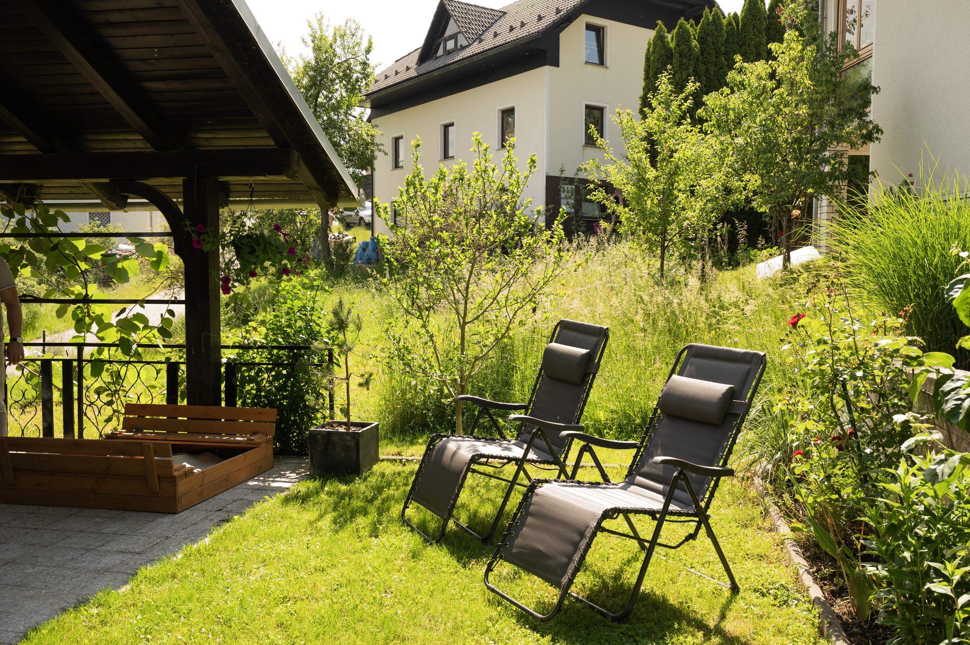 Dvorišče in travnik / Courtyard and lawn