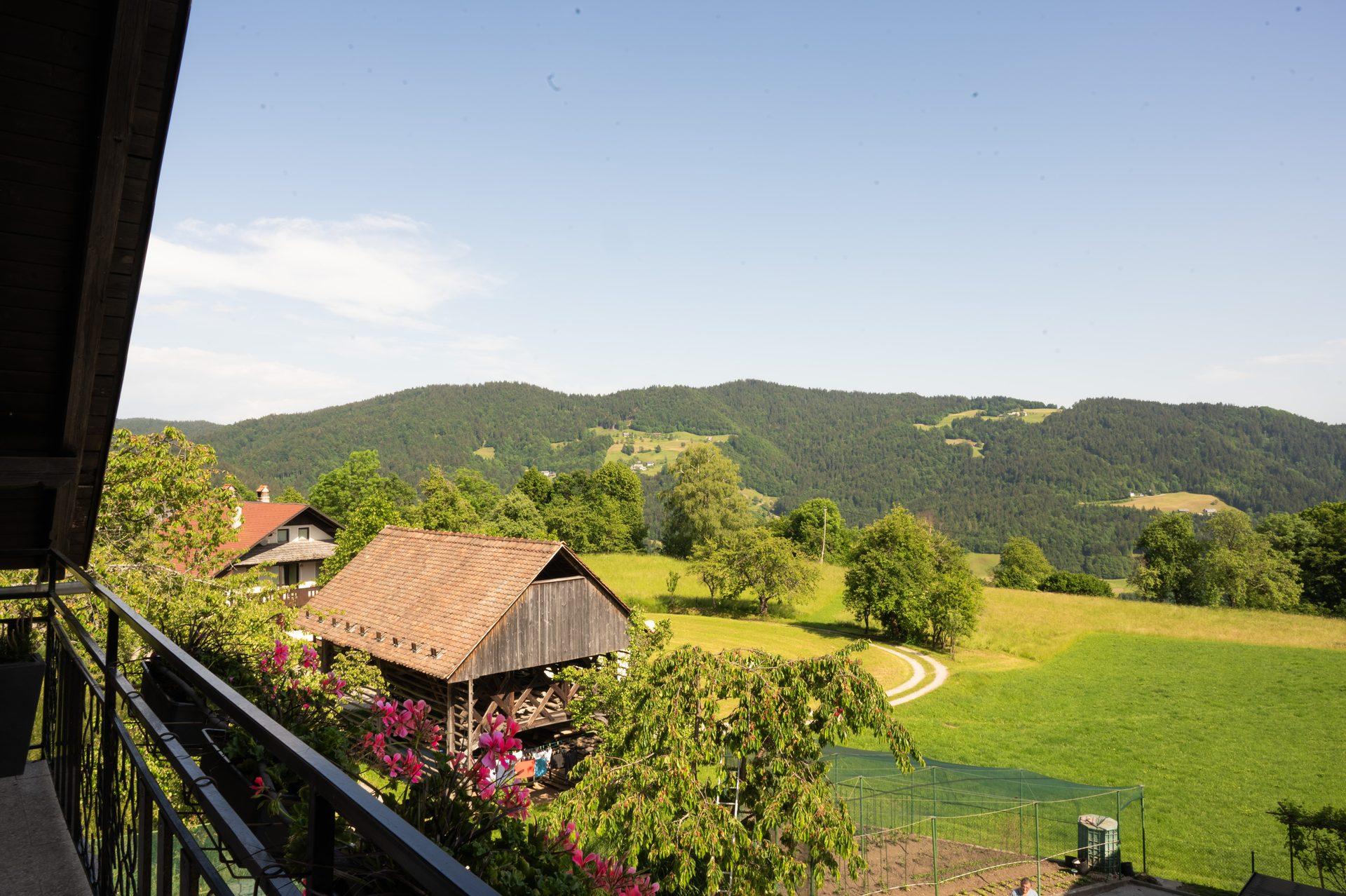 Apartma Pri Mici Javorje