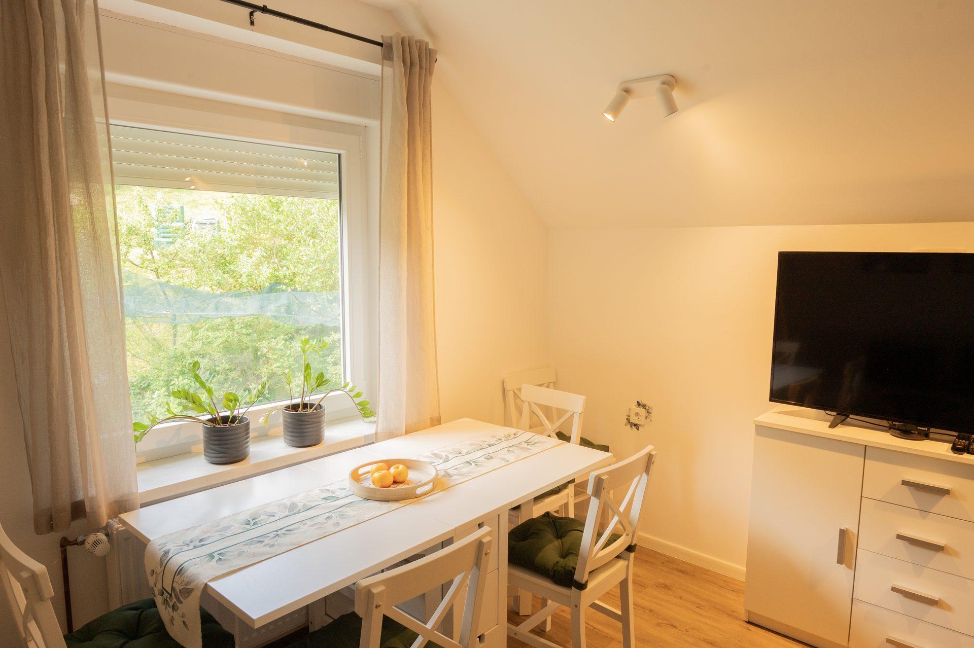 Notranjost apartmaja / Apartment interior